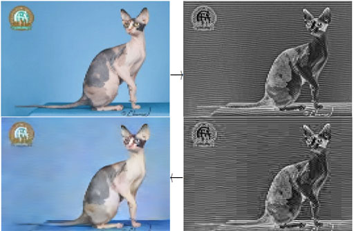teaser image of Sandwiched Image Compression: Wrapping Neural Networks Around a Standard Codec